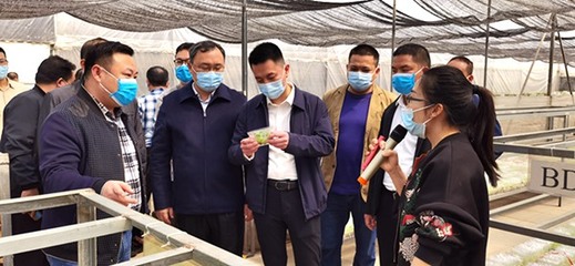 自治區(qū)發(fā)展改革委定點(diǎn)幫扶都安縣駐村工作隊赴南寧市、百色市開展鄉(xiāng)村振興調(diào)研