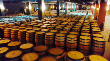 【張掖企業(yè)家日】甘肅祁連葡萄酒業(yè)有限責(zé)任公司:&ldquo;釀&rdquo;出高質(zhì)量發(fā)展新氣象