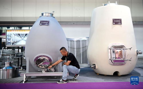 新華全媒 首屆中國(guó) 寧夏 國(guó)際葡萄酒文化旅游博覽會(huì)開幕