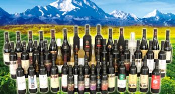 勸君更盡葡萄酒,紫軒紅酒伴你美好生活